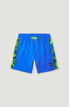 Cali Panel 14'' Swim Shorts | Princess Blue Colour Block