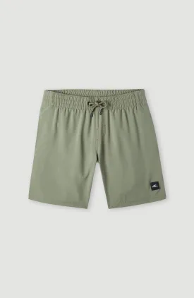 Future Surf Society 14'' Swim Shorts | Deep Lichen Green